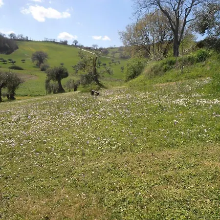 Il Sorger Del Sole 3* Avenale
