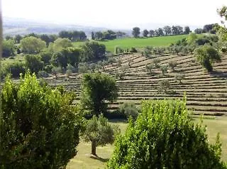 Il Sorger Del Sole 3* Avenale