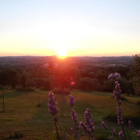 Il Sorger Del Sole 3* Avenale
