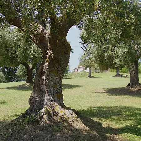 Il Sorger Del Sole 3* Avenale