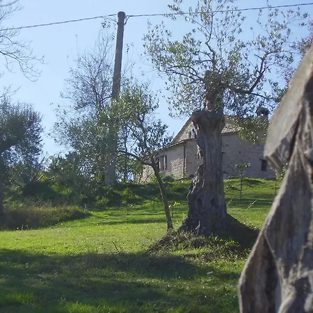 Nocleg ze śniadaniem Il Sorger Del Sole