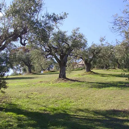 Il Sorger Del Sole
