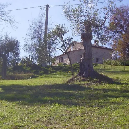 Il Sorger Del Sole Nocleg ze śniadaniem
