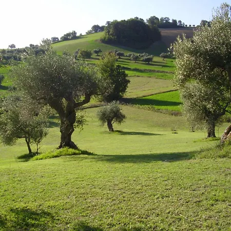 Il Sorger Del Sole